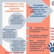 Кибербуллинг и безопасный интернет: как защитить себя и своих детей в цифровом мире